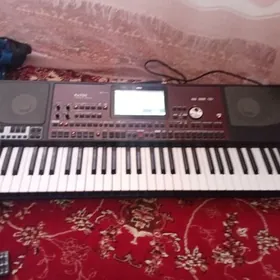 Korg pa 700 orentall.