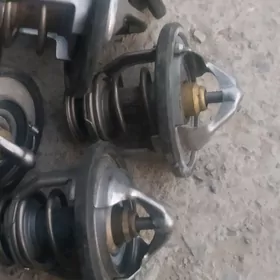 termostat morda. _3-lik.2.41.8