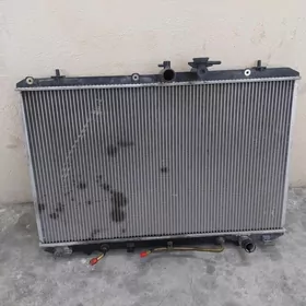 radiyatyr highlander