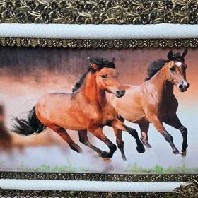 ПАРТРЕТ КАРТИНКА СОВГАТЛЫК!