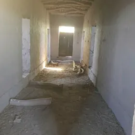 Satlyk jay 14 1 2026