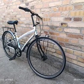 welosiped 26 REGAFINO