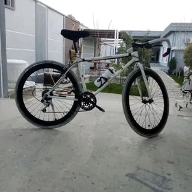 спартивни велисапет