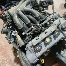 lexus motor  dwigitel