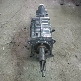 GAZEL 5SKORS KAROPKA