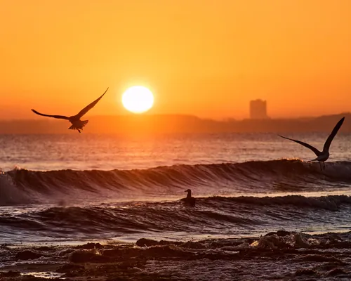 2025-nji ýylda dünýä ummanynyň temperaturasy rekord derejede ýokary boldy
