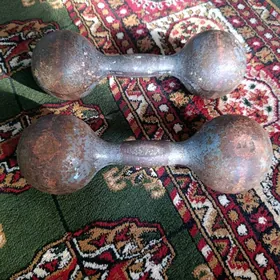8kg Daş