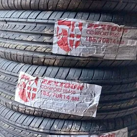 Amatly Teker Dz Boldumsaz