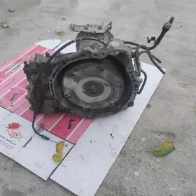 babiçka karopga 2.2