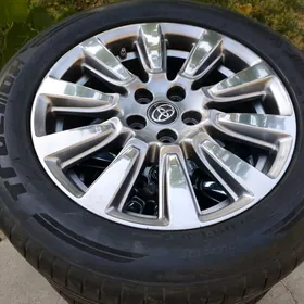 Sienna diska ARGINAL