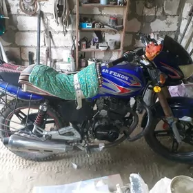 Fekon FK200-14G 2013