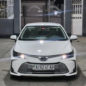 Toyota Corolla 2021