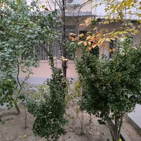 МИР4 3+1 1ЭТАЖ