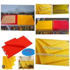 Bal aryn washina yasayan galyb