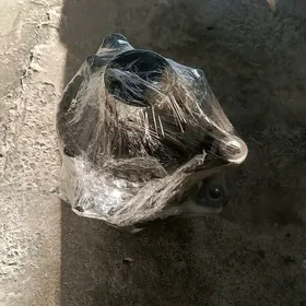 generator okuz kelle