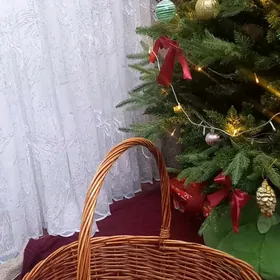 karzina карзины