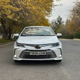 Toyota Corolla 2021