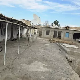 ️ Anew 8 sotak ️