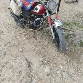 Fekon FK200-14G 2023