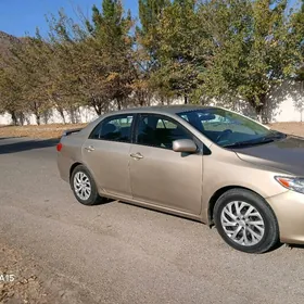 Toyota Corolla 2010