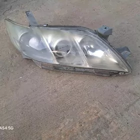 okuz kelle 2009 2010 yyl fara