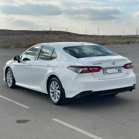 voditel taksi safyor