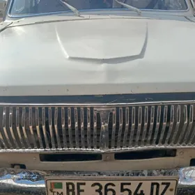 Gaz 24 1980