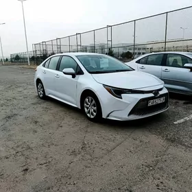 Toyota Corolla 2022