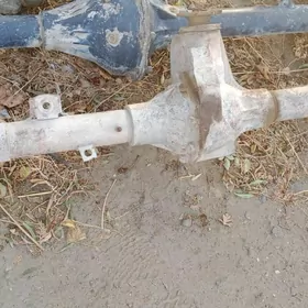 mos waýenni ziriwni