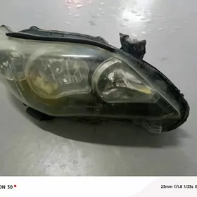 carolla fara sag tarap