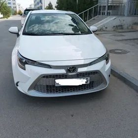 Toyota Corolla 2020