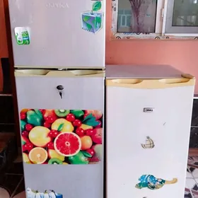 Orvica holodelnikler