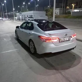Toyota Camry 2019