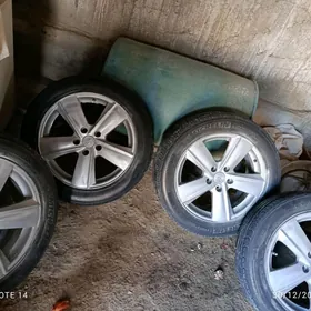 diska pakriska 17lik