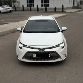 Toyota Corolla 2021