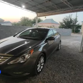 Hyundai Sonata 2010