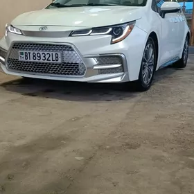 Toyota Corolla 2021