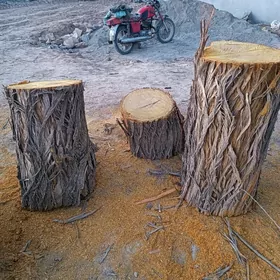 Et çapylyan töññe