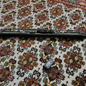 Cykyan setka carolla palta