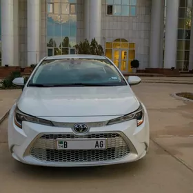 Toyota Corolla 2022
