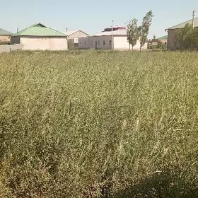 satlyk yer 16 sotuk.