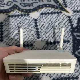 Gpon router