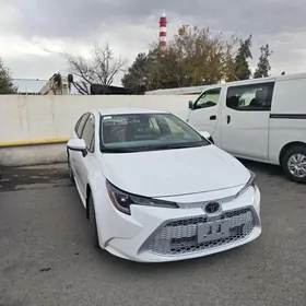 Corolla fara önki çep sag