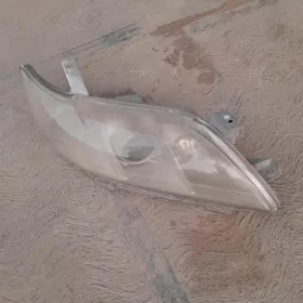 okuz kelle fara 07_09