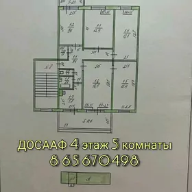 ДОСААФ 5 комнат