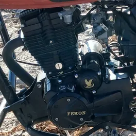 Fekon FK200-14G 2020