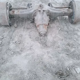 most kici šu duršuna