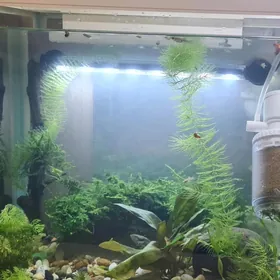 Заводской аквариум 35 лит