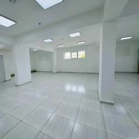 Arenda Gurtly podwal