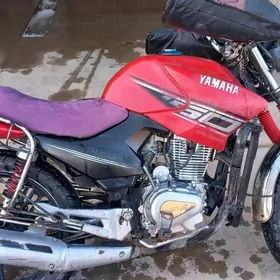 Fekon FK200-14G 2025